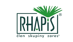 Rhapis